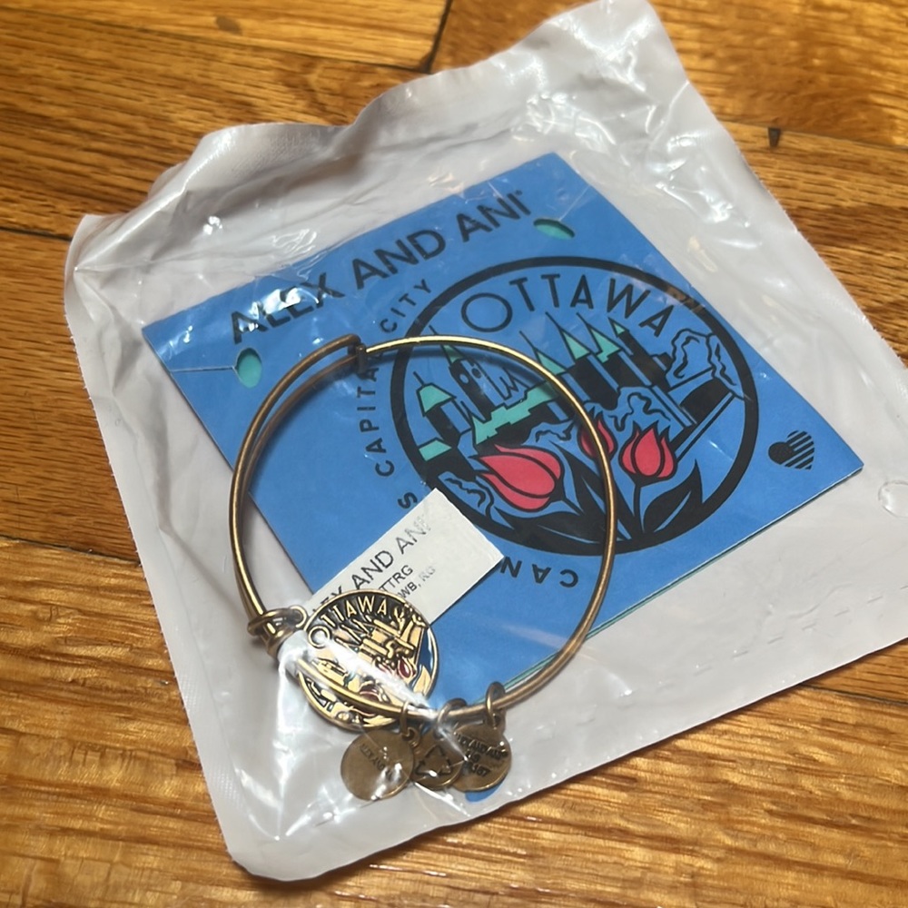 Alex and Ani - Ottawa Canada - Charm Bracelet